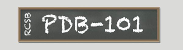 PDB-101 Logo